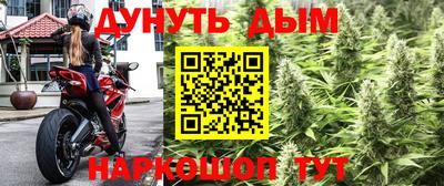 трава Будённовск