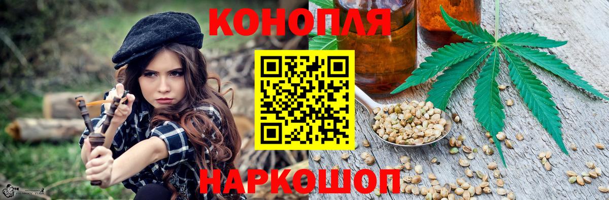 Бошки Шишки планчик Владимир